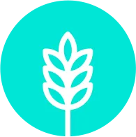 wheat protein icon